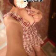 ヒメ日記 2025/05/29 09:48 投稿 桜/Sakura ジュリエット