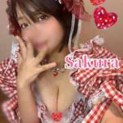 ヒメ日記 2025/06/23 12:03 投稿 桜/Sakura ジュリエット