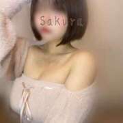 ヒメ日記 2025/07/03 09:27 投稿 桜/Sakura ジュリエット