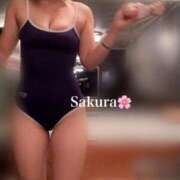 ヒメ日記 2025/09/11 09:12 投稿 桜/Sakura ジュリエット