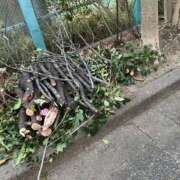 ヒメ日記 2025/02/13 08:32 投稿 時透とき 全裸美女からのカゲキな誘惑