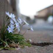 ヒメ日記 2025/02/24 10:22 投稿 時透とき 全裸美女からのカゲキな誘惑