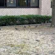 ヒメ日記 2025/03/17 13:02 投稿 時透とき 全裸美女からのカゲキな誘惑