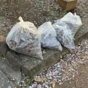 ヒメ日記 2025/04/15 10:22 投稿 時透とき 全裸美女からのカゲキな誘惑