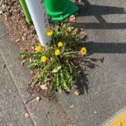 ヒメ日記 2025/05/20 21:22 投稿 時透とき 全裸美女からのカゲキな誘惑