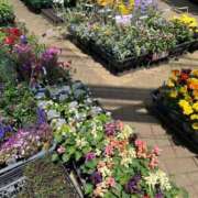 ヒメ日記 2025/05/21 14:02 投稿 時透とき 全裸美女からのカゲキな誘惑