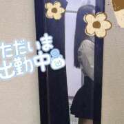 ヒメ日記 2025/05/25 17:17 投稿 花園よもぎ 全裸革命orおもいっきり痴漢電車