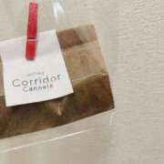 ヒメ日記 2025/08/24 21:15 投稿 花園よもぎ 全裸革命orおもいっきり痴漢電車