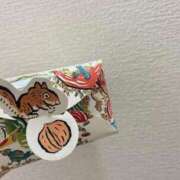 ヒメ日記 2025/11/15 12:17 投稿 花園よもぎ 全裸革命orおもいっきり痴漢電車