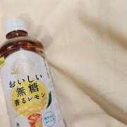 ヒメ日記 2025/12/06 00:01 投稿 花園よもぎ 全裸革命orおもいっきり痴漢電車