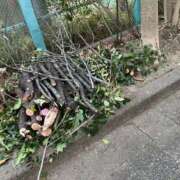 ヒメ日記 2025/02/13 08:43 投稿 西国立とき THE痴漢電車.com