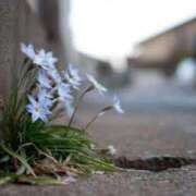 ヒメ日記 2025/02/24 10:30 投稿 西国立とき THE痴漢電車.com