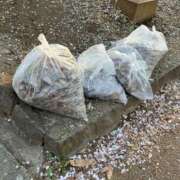 ヒメ日記 2025/04/15 10:42 投稿 西国立とき THE痴漢電車.com