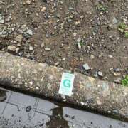 ヒメ日記 2025/04/25 10:23 投稿 西国立とき THE痴漢電車.com