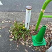 ヒメ日記 2025/05/21 00:42 投稿 西国立とき THE痴漢電車.com