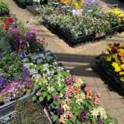 ヒメ日記 2025/05/21 14:13 投稿 西国立とき THE痴漢電車.com