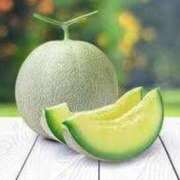 ヒメ日記 2025/06/05 12:04 投稿 西国立とき THE痴漢電車.com