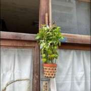 ヒメ日記 2025/07/15 00:23 投稿 西国立とき THE痴漢電車.com