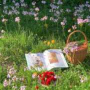 ヒメ日記 2025/02/12 18:12 投稿 えな プールサイド新橋店