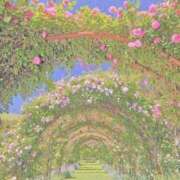 ヒメ日記 2025/03/10 18:15 投稿 えな プールサイド新橋店