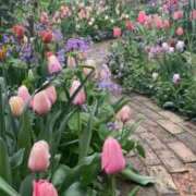 ヒメ日記 2025/03/17 11:45 投稿 えな プールサイド新橋店