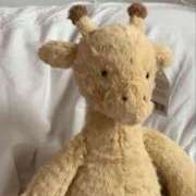 ヒメ日記 2025/03/23 18:14 投稿 えな プールサイド新橋店