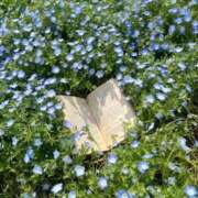 ヒメ日記 2025/04/05 11:10 投稿 えな プールサイド新橋店