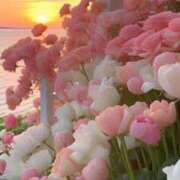 ヒメ日記 2025/04/10 18:01 投稿 えな プールサイド新橋店