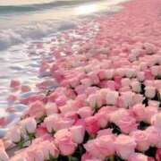 ヒメ日記 2025/04/16 12:06 投稿 えな プールサイド新橋店