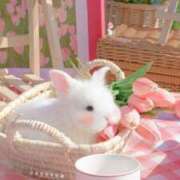 ヒメ日記 2025/04/19 09:58 投稿 えな プールサイド新橋店