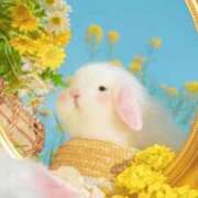 ヒメ日記 2026/03/12 11:02 投稿 えな プールサイド新橋店