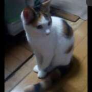 ヒメ日記 2025/02/05 18:35 投稿 みけ 熟女の風俗最終章 相模原店