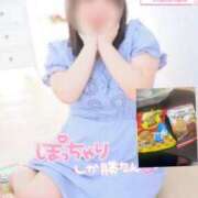 ヒメ日記 2025/02/12 17:06 投稿 みけ 熟女の風俗最終章 相模原店