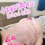 ヒメ日記 2025/03/14 00:41 投稿 みけ 熟女の風俗最終章 相模原店