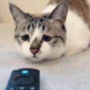 ヒメ日記 2025/03/22 12:55 投稿 みけ 熟女の風俗最終章 相模原店