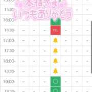 ヒメ日記 2025/07/24 01:20 投稿 みけ 熟女の風俗最終章 相模原店