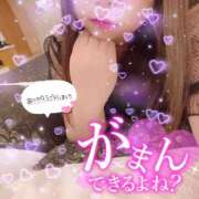 ヒメ日記 2025/09/15 01:50 投稿 みけ 熟女の風俗最終章 相模原店