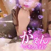 ヒメ日記 2025/11/24 15:52 投稿 みけ 熟女の風俗最終章 相模原店