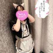 みけ エロも癒しだけどマッサージもね 熟女の風俗最終章 相模原店