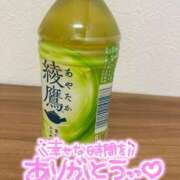 ヒメ日記 2026/02/11 06:00 投稿 みけ 熟女の風俗最終章 相模原店