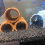 ヒメ日記 2026/04/24 19:38 投稿 みけ 熟女の風俗最終章 相模原店