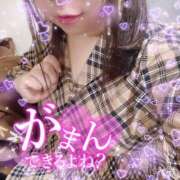 ヒメ日記 2025/03/29 00:01 投稿 みけ 熟女の風俗最終章 町田店