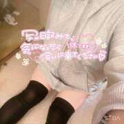 ヒメ日記 2025/03/31 05:41 投稿 みけ 熟女の風俗最終章 町田店