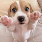 ヒメ日記 2025/06/16 22:00 投稿 みけ 熟女の風俗最終章 町田店