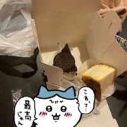 ヒメ日記 2025/09/12 16:42 投稿 みけ 熟女の風俗最終章 町田店