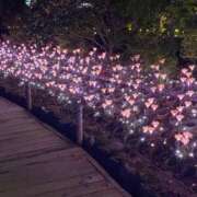 ヒメ日記 2025/12/14 00:20 投稿 みけ 熟女の風俗最終章 町田店