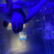 ヒメ日記 2026/09/28 03:20 投稿 みけ 熟女の風俗最終章 町田店