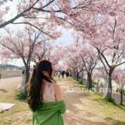 ヒメ日記 2025/04/09 15:52 投稿 如月 りつ☆2 TiAmo（ティアモ）