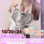 ヒメ日記 2025/10/18 08:45 投稿 イノリ ドMなバニーちゃん大宮店