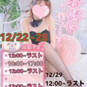 ヒメ日記 2025/12/22 16:52 投稿 イノリ ドMなバニーちゃん大宮店